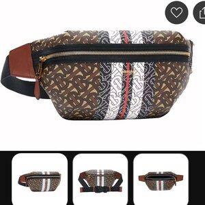 Burberry Medium Monogram Stripe E-canvas Bum Bag